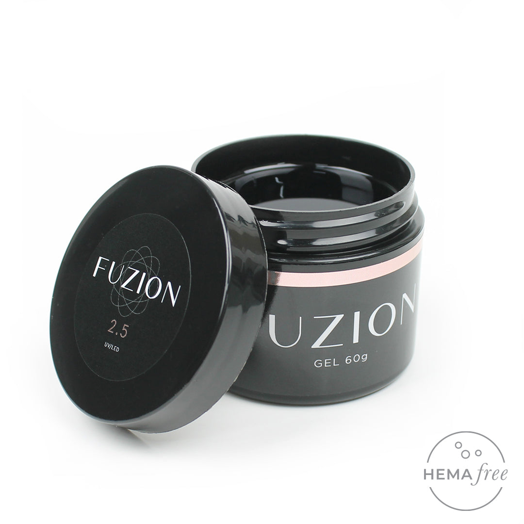 Fuzion '2.5'