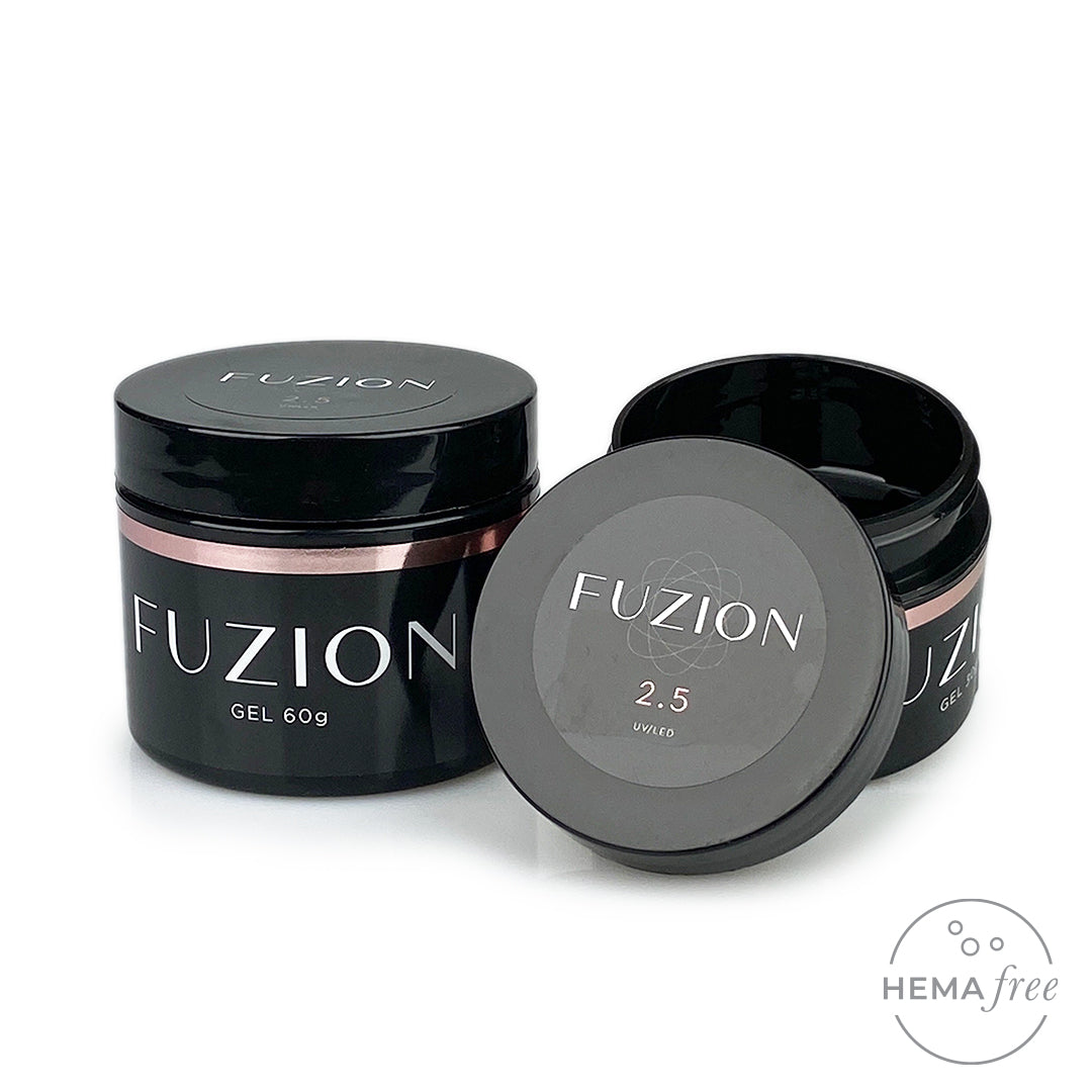 Fuzion '2.5'