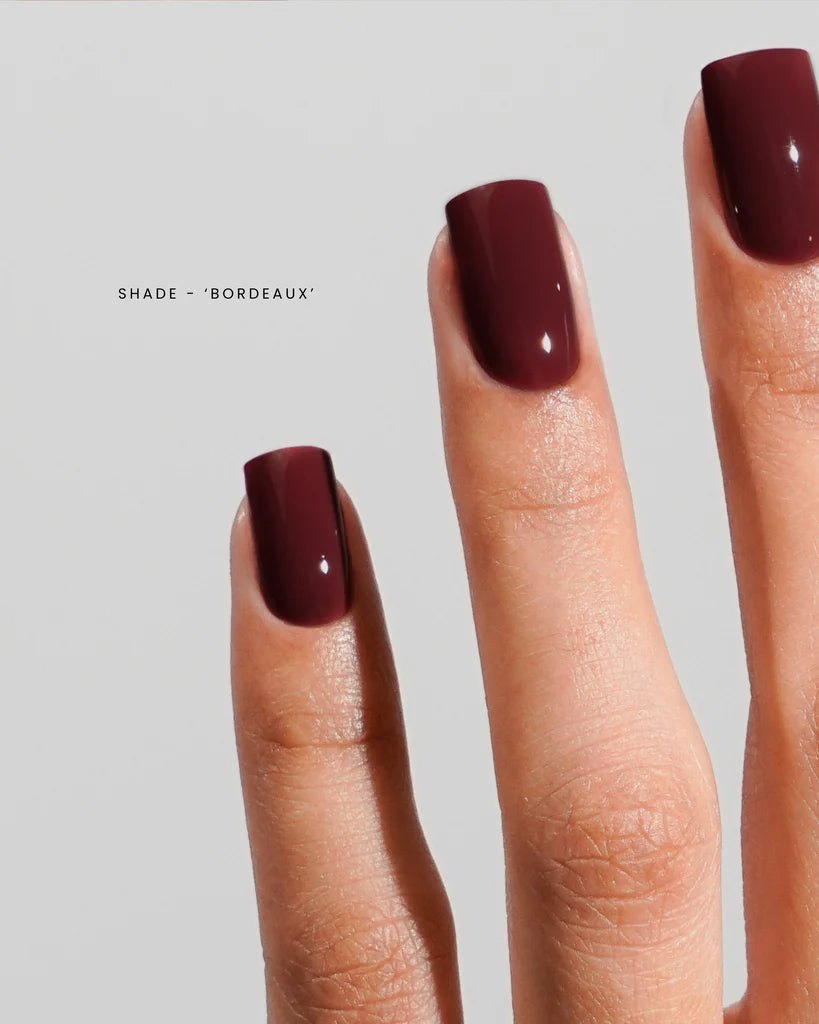 Luxio® F/W 2025 Femininity Mini Collection