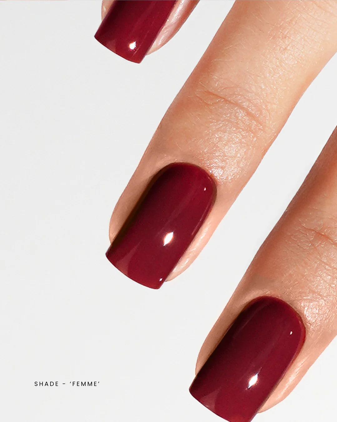 Luxio® F/W 2025 Femininity Mini Collection