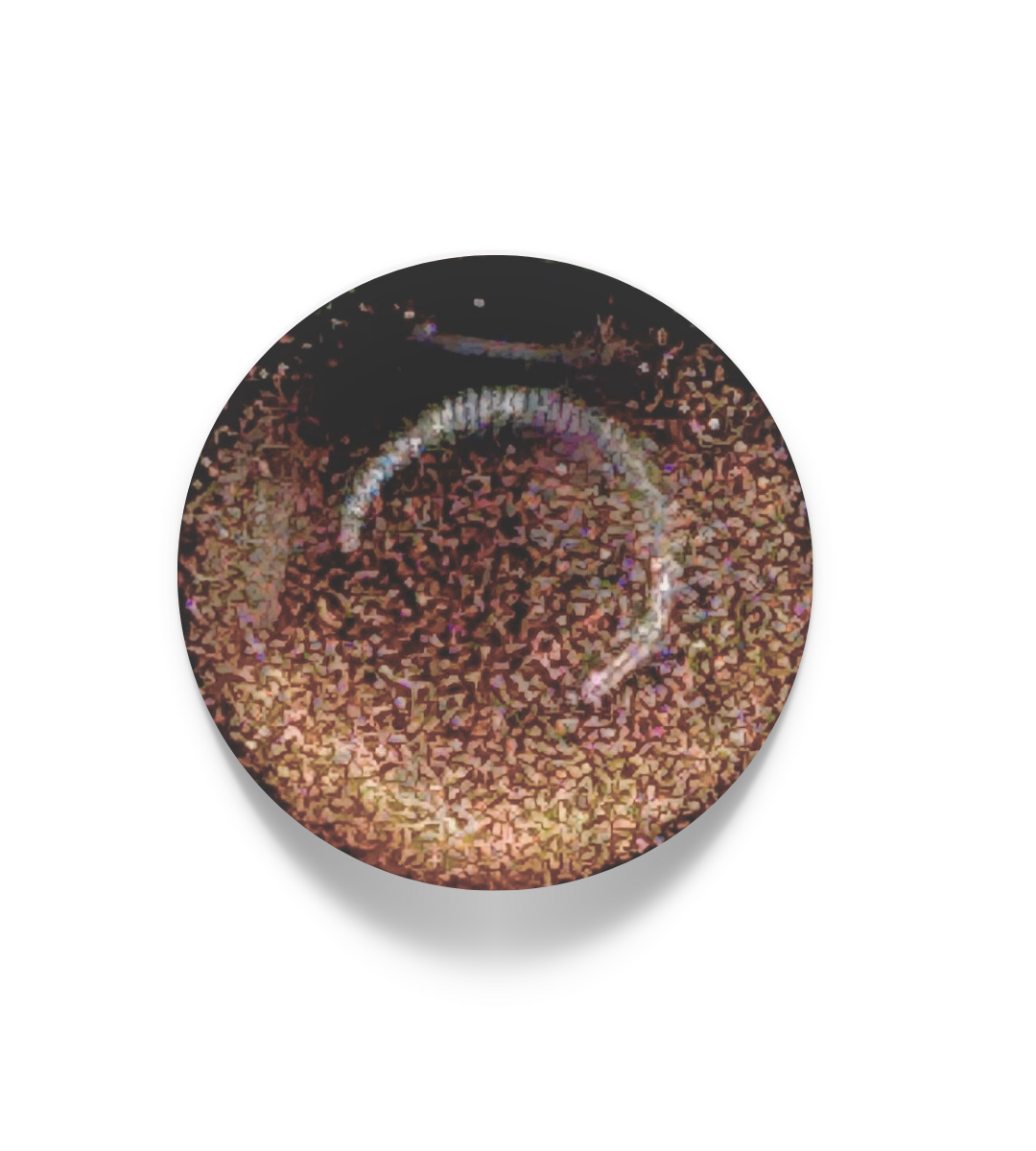 Galaxie stellaire - Terra Brown