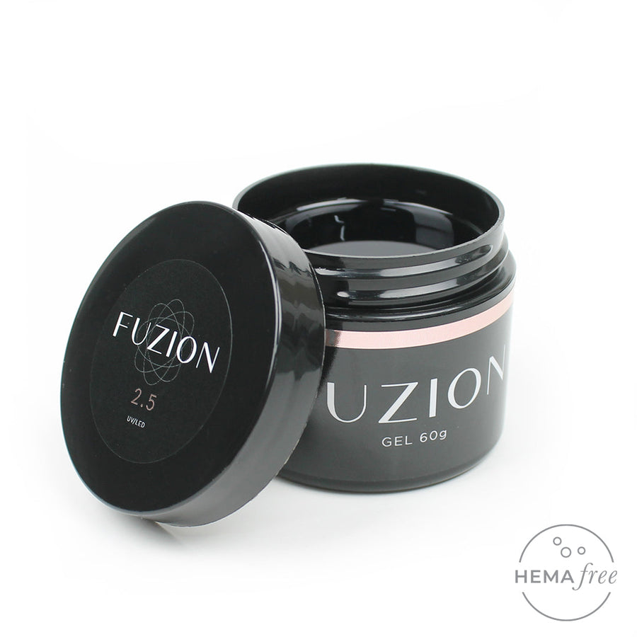 Fuzion '2.5'