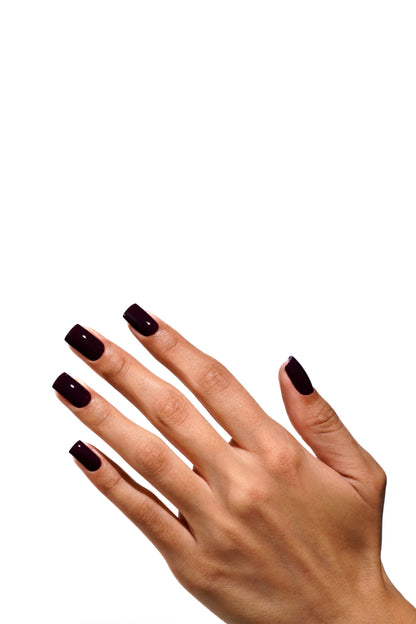 Luxio® Nocturne Mini Collection